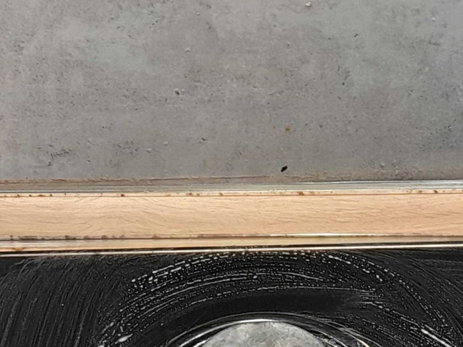 Sprzątanie domów i mieszkań