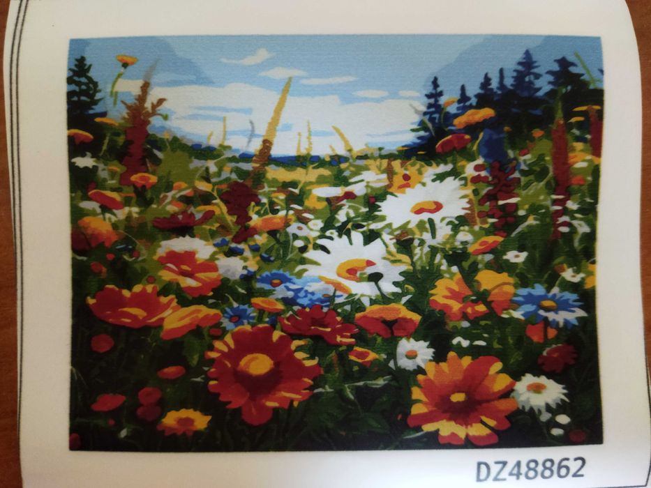 Obraz do malowania po numerach (na ramie)