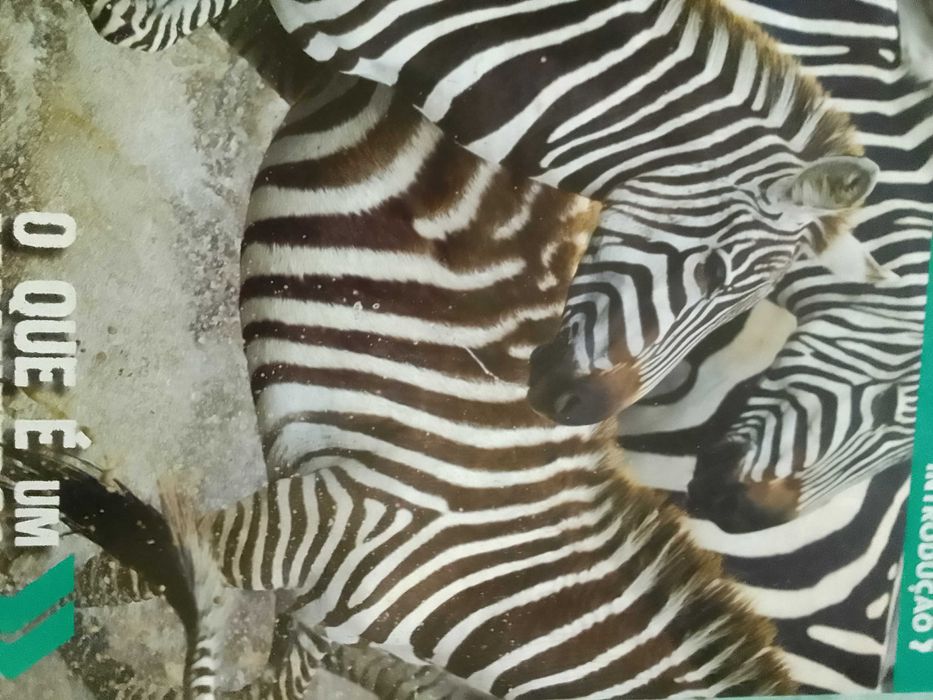 Livro/Revista "O Grande Livro dos Mamíferos" da BBC