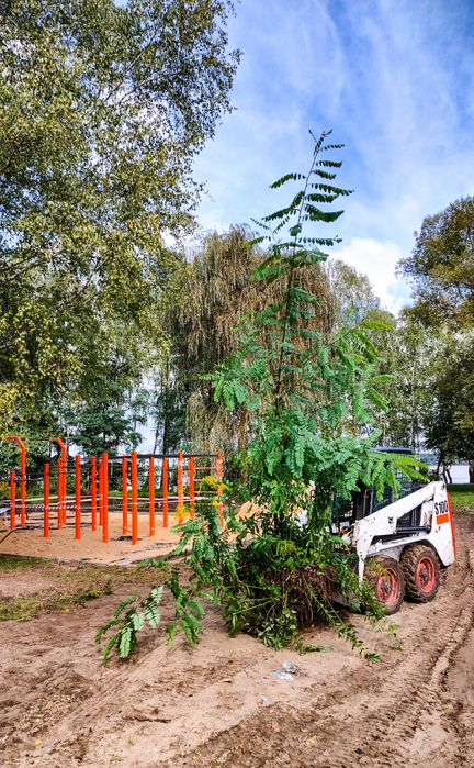 Prace ziemne Ogrody Projekty Drenaż Wycinki Koparki Ładowarki Traktory