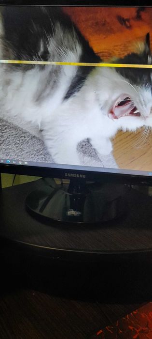 Монітор Samsung 19"