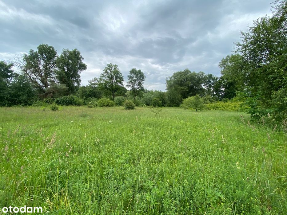 Działka z MPZP blisko Bugu | Drohiczyn | 3083 m²