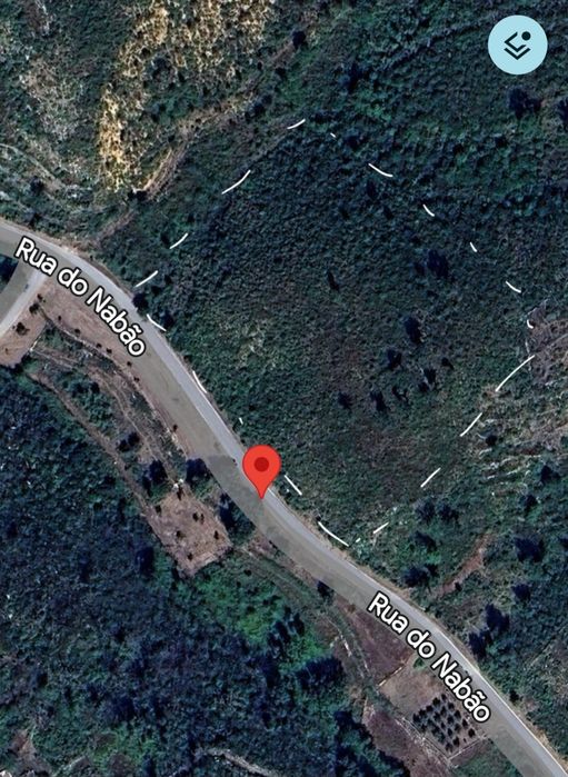 Arrenda-se Terreno para apicultura