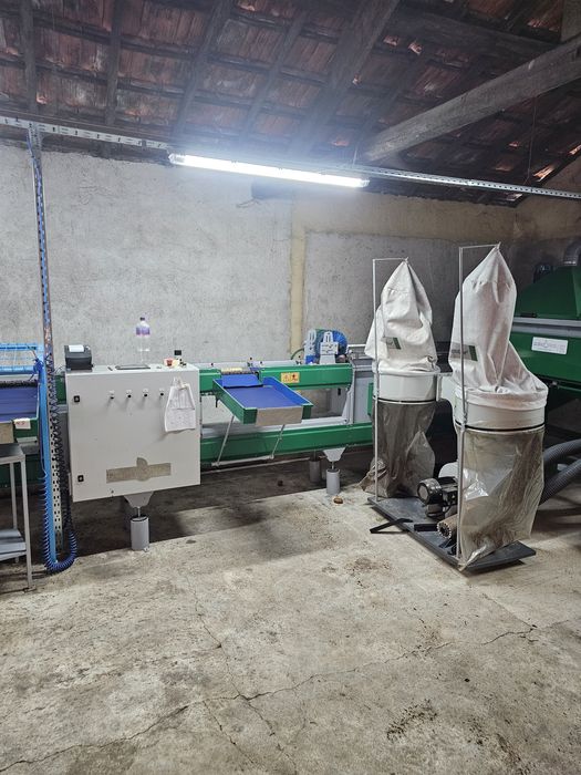 Calibradora de Fruta