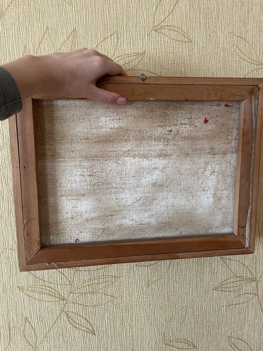 Продам катину Савоста Н І