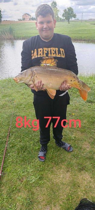 CZTERY STAWY- agroturystyka  WAKACJE  DOMEK ,NOCLEGI wędkowanie