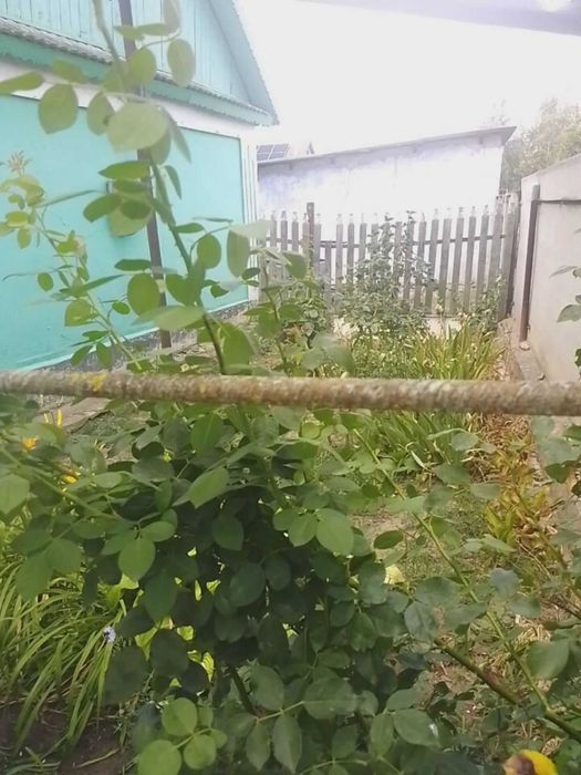 Продам дом в центре Беляевке