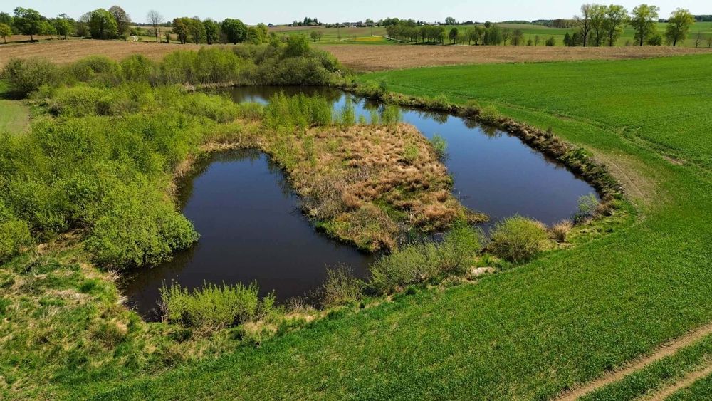 Domek na wynajem na Kaszubach z bilardem i jacuzzy- agroturystyka