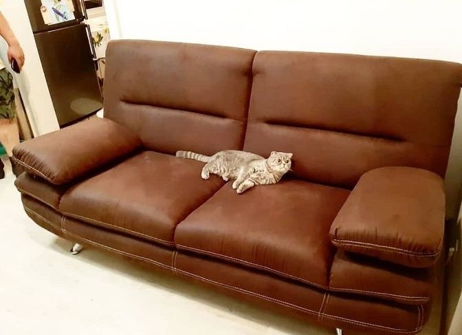 Перетяжка ремонт м'яких меблів . модернізація меблів