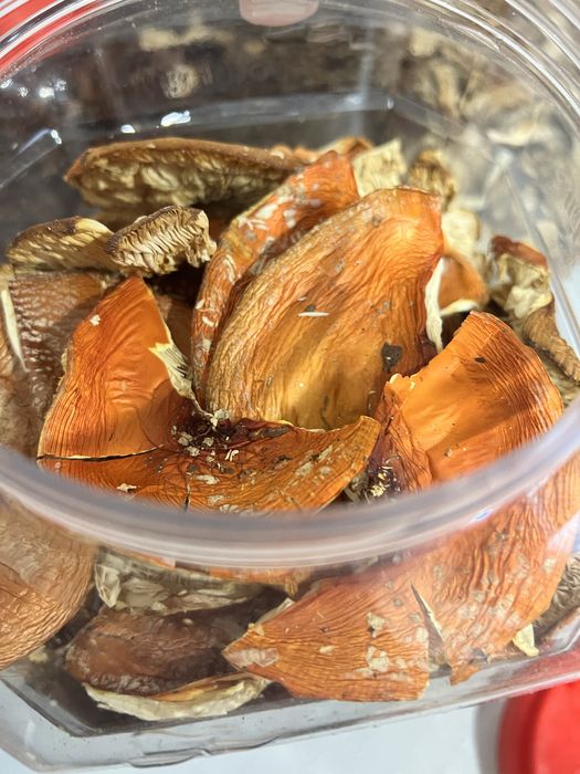 Сушений карпатський гриб, маримух