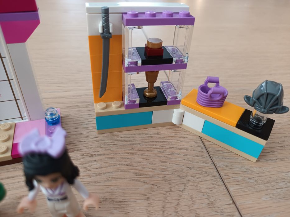 Lego friends karate