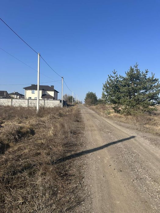 Продається чудова земельна ділянка Липовий Скиток з соснами..