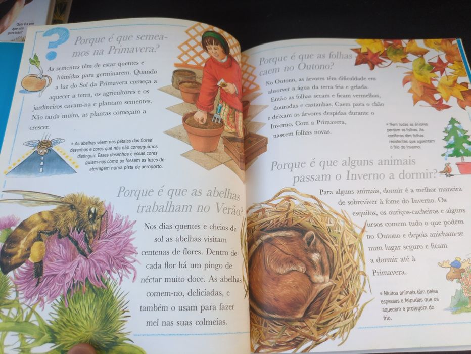 Porque Será Que o Sol se levanta