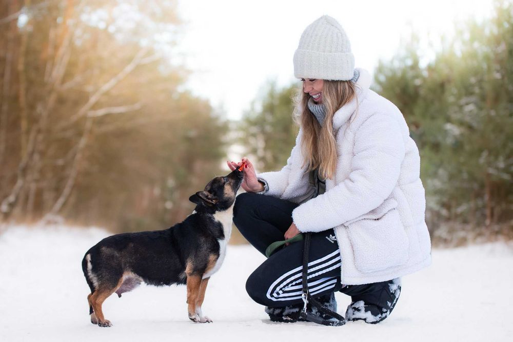Yamarica: łagodna i spokojna słodzinka
