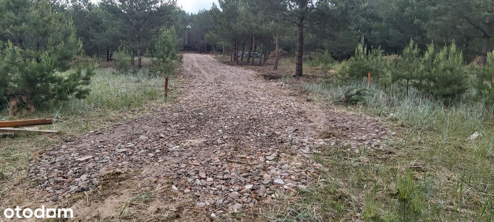 Puszcza Notecka Tanie działki budowlane bezpośrednio 50km od Poznania