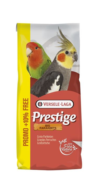 Big Parakeets 20g+2 gratis ( dla średnuch papug)