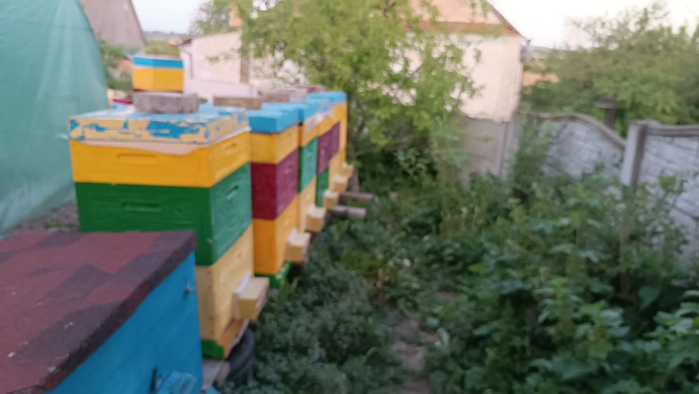 Продам свіжий мед з доставкою під під'їзд.