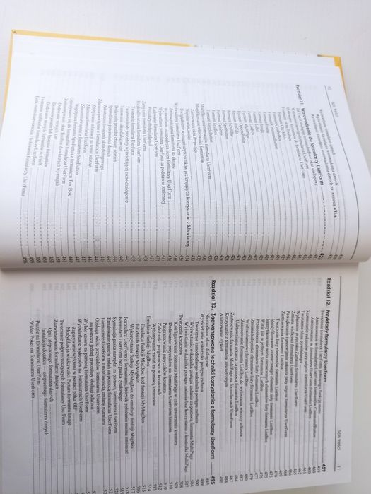 Programowanie w VBA - Excel 2013 książka