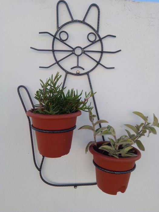 Gato //. Floreira