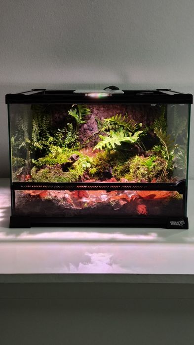 Terrários Giganterra