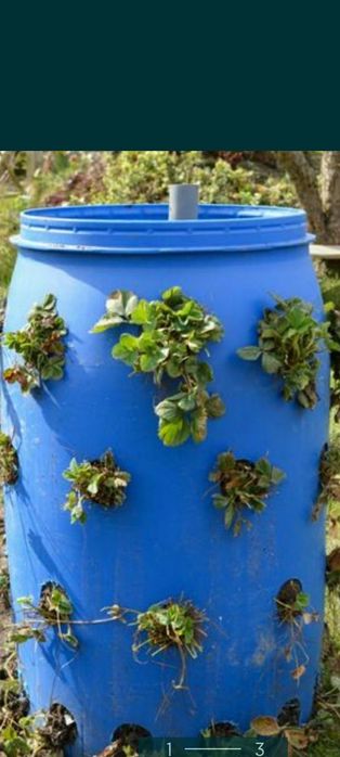 Beczki warzywno_kwiatowe