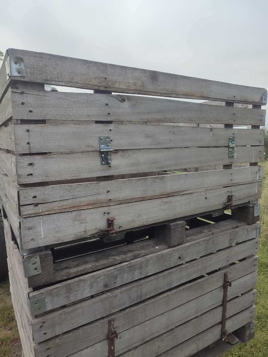 Контейнер овочевий (дерев'яний), для картоплі та інших овочів, 45 шт