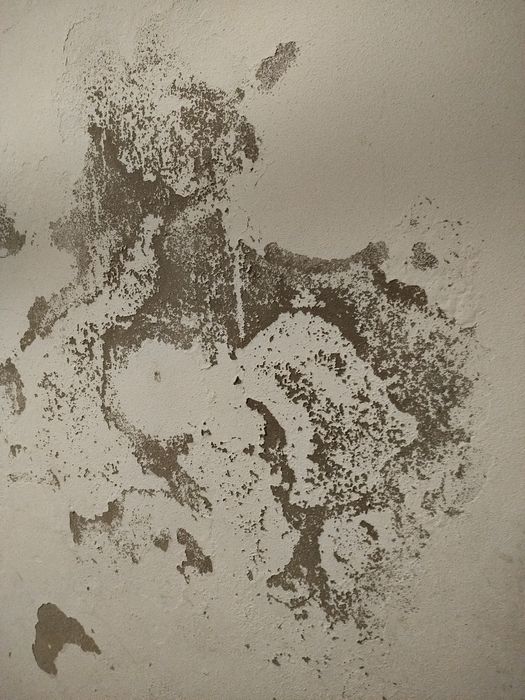 Serviços de reparação