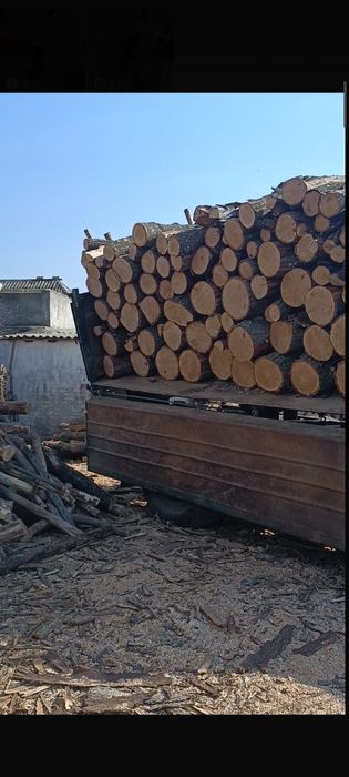 Дрова з Лісництва  тільки тведа порода(дуб, акація, ясен).