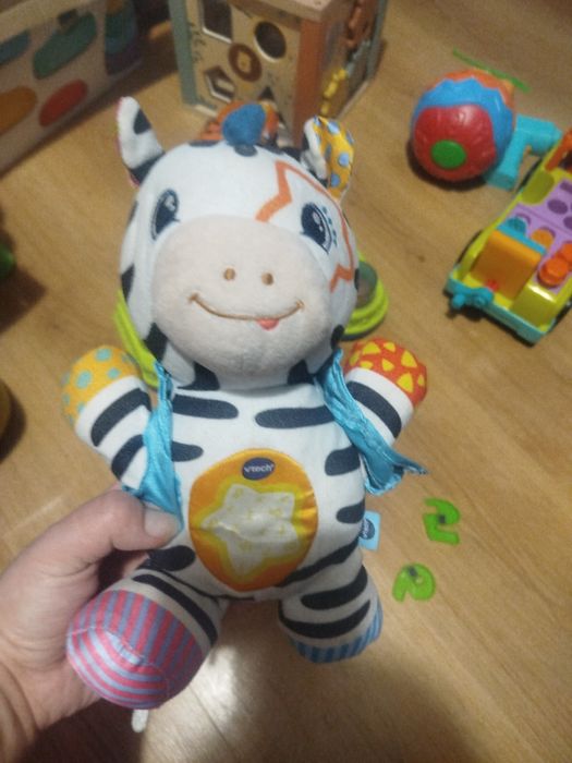 Przebojowa Zebra vtech