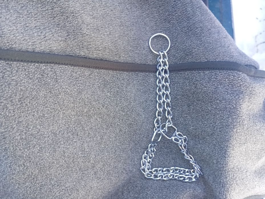 Строгий ошийник для собаки 30см.