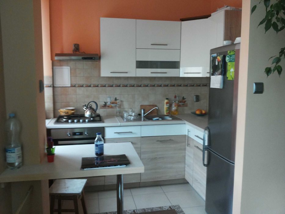 Mieszkanie do wynajecia 33 m² ul. kochanowskiego - Widok 2