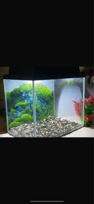Акваріум для риб