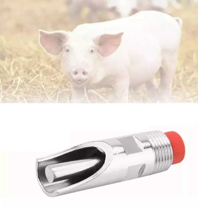 Poidło smoczkowe dla tuczników, stal, gruby trzpień, 1/2-61 mm, Kerbl