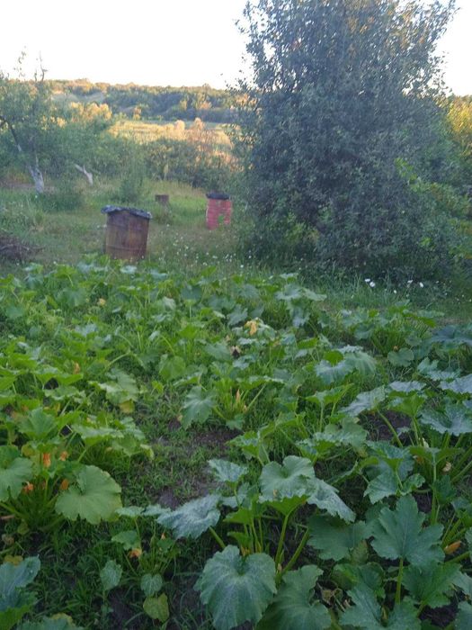 Земельна ділянка, продам