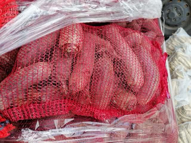 Marchew 25 kilogramów 27 zł prosto z gospodarstwa od rolnika wysyłka i