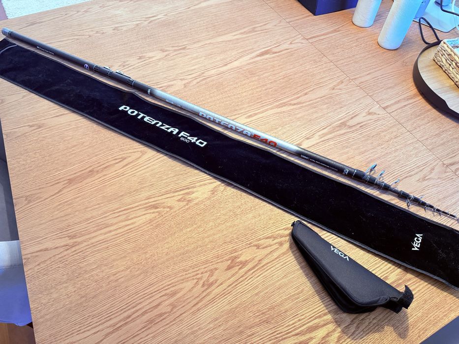 Cana pesca VEGA potenza F40 600