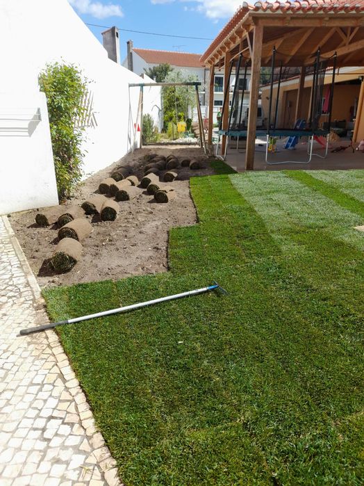 Relva natural em tapete