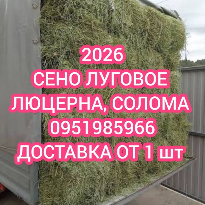 ‼️СІНО 2026 ДОСТАВКА ОТ 1 ШТ в тюках мешках (кукурузне и др), сено. В наличии‼️