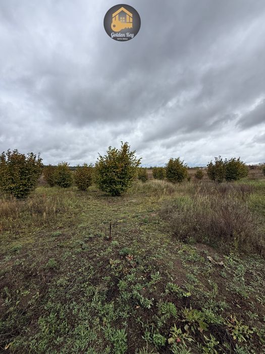 Продам 1.4га під садівництво, засаджено горіхами, бізнес, 40кмКиїв