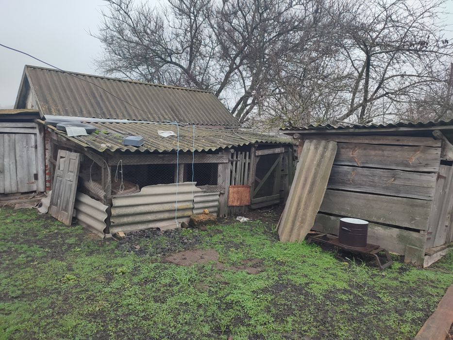 Будинок, Полтавська область