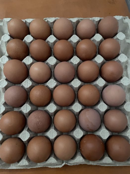 Яйце столове на опт