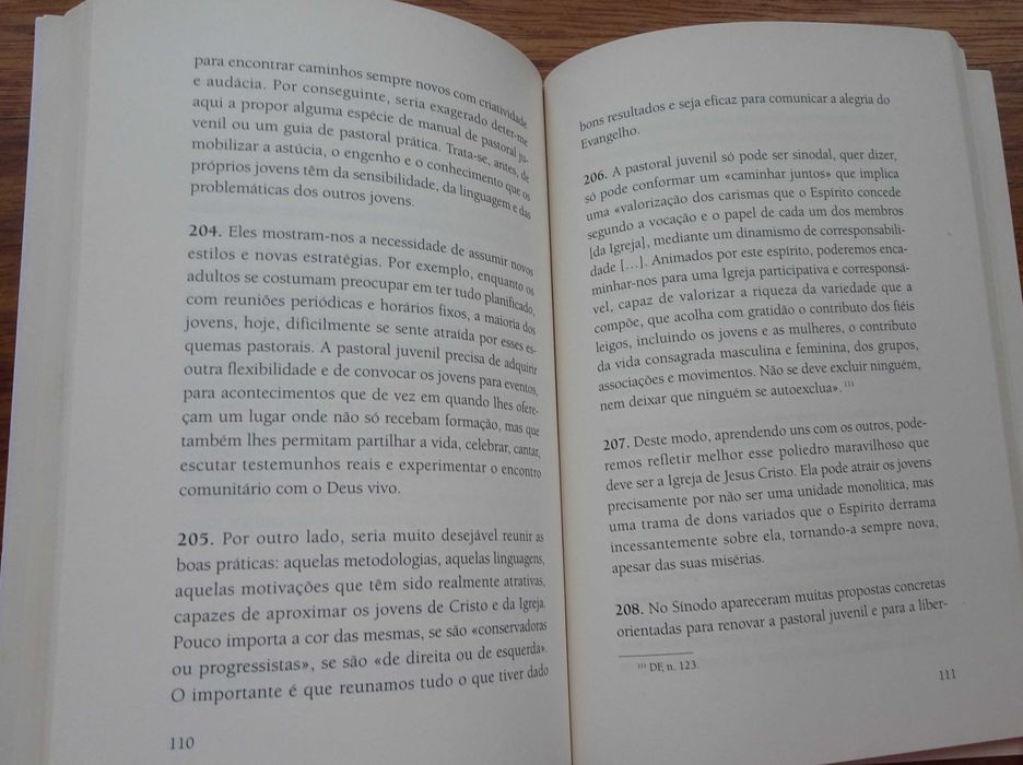 Exortação Apostólica Pós-Sinodal «Cristo Vive» do Papa Francisco