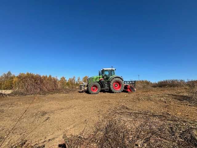 Mulczowanie działek leśnych czyszczenie nieużytków frezowanie pni .