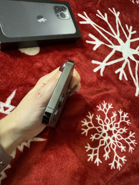 iPhone 13 Pro Max, 256 GB.