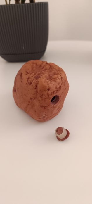 Kit Completo Terrário Répteis Arcadia UVB 90 cm + Repashy + Exo Terra