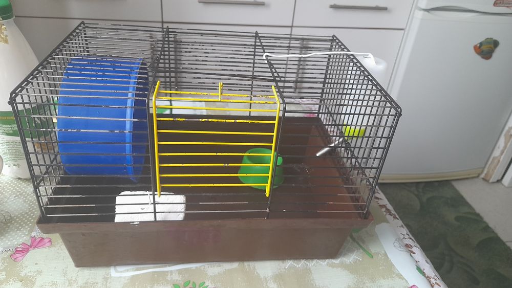 Клітка для гризунів