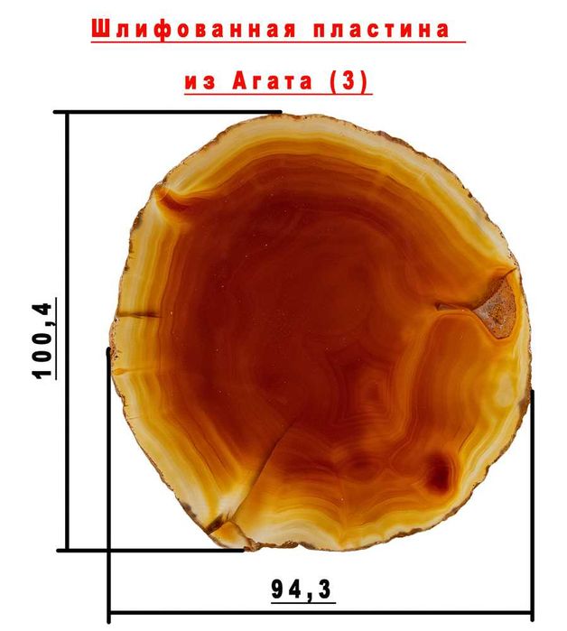 Окаменелости, друзы для коллекционеров