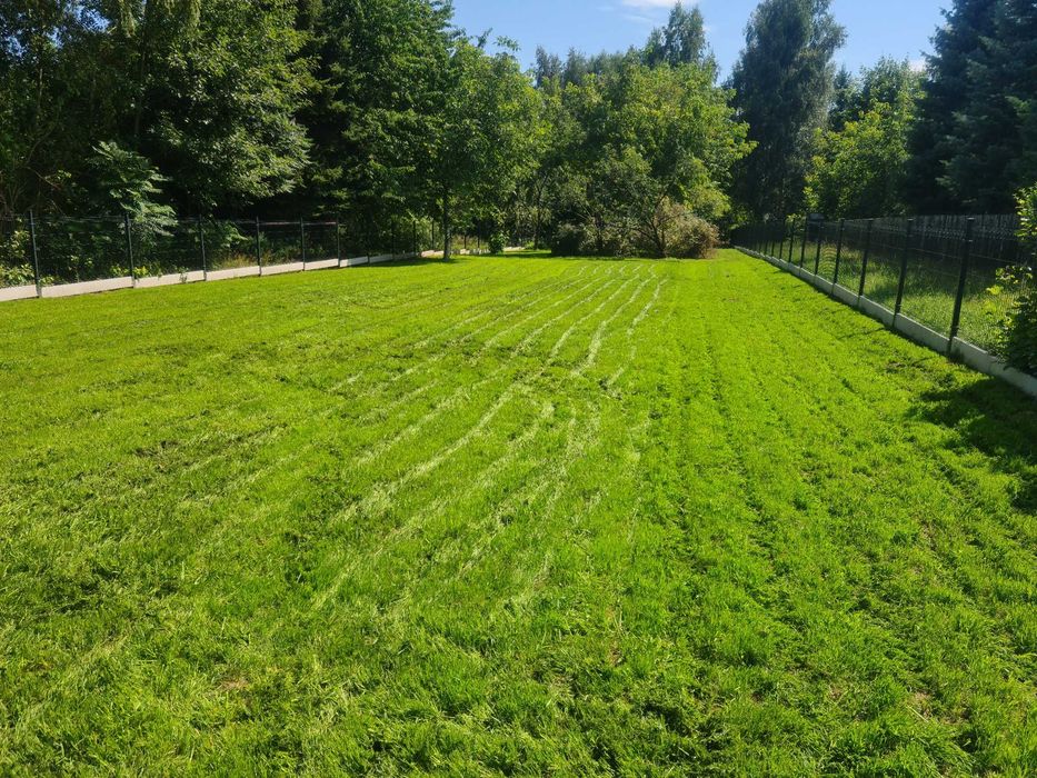 Koszenie nieużytków, karczowanie, usługi glebogryzarką, frezowanie pni