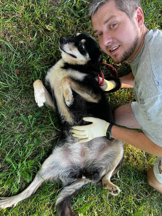 дівчинка Ніка шукає родину