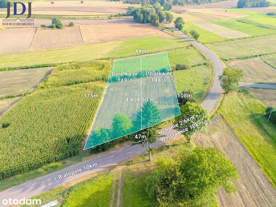 Działki O Łącznej Powierzchni  2,587 Ha - Bokinia
